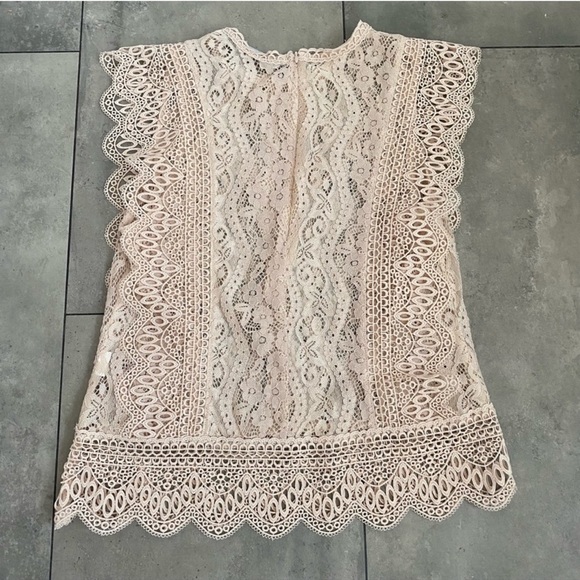 Zara Blush Pink/Beige Lace Cap Sleeves Floral Lace Doily Top, Small - Picture 5 of 13